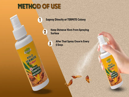 BoldMart Termite Killer Spray in use for termite removal